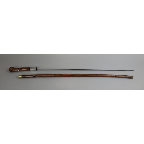 119 - Sword stick