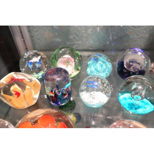 119 - Collection of interesting paperweights