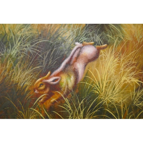 242 - Oil on canvas - Dogs chasing rabbit - Approx IS: 50cm x 60cm