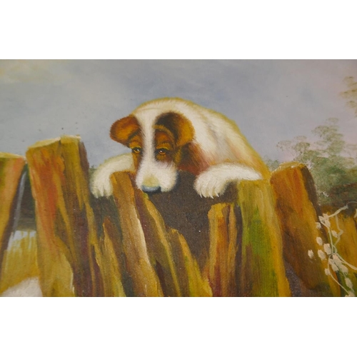 242 - Oil on canvas - Dogs chasing rabbit - Approx IS: 50cm x 60cm