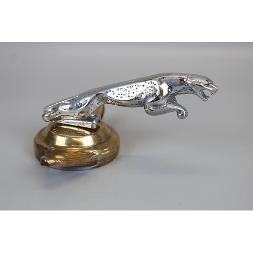 185 - Jaguar mascot radiator cap