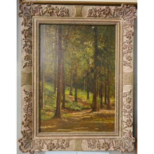 286 - Arthur George Bell (1849-1916) A Woodland Glade. Oil on Board. Image: 35cm x 25cm