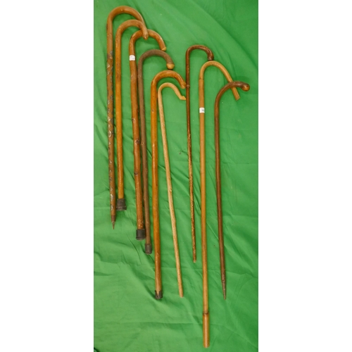 503 - Collection of walking sticks