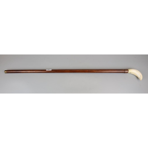 82 - Whale tooth handled walking stick