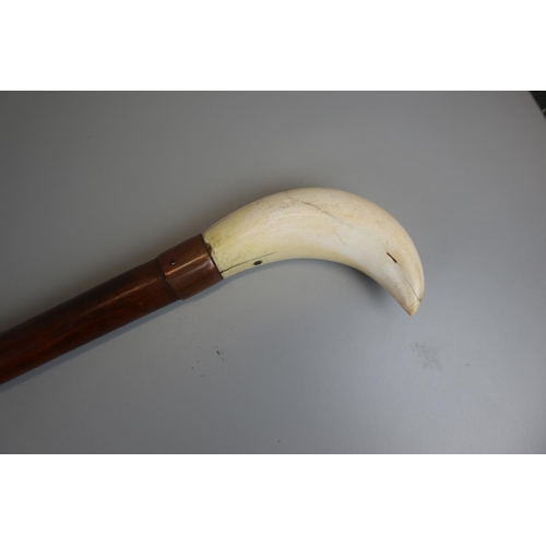 82 - Whale tooth handled walking stick