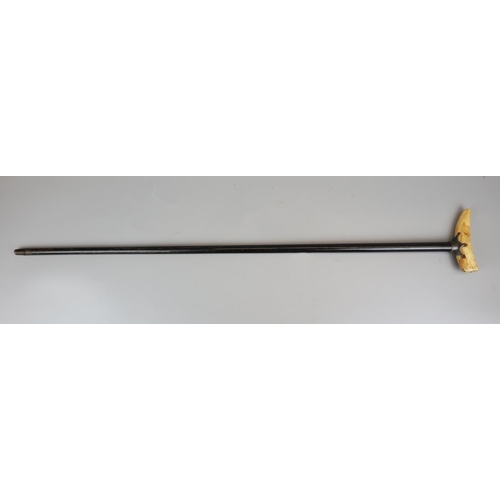 83 - Whale tooth handled walking stick