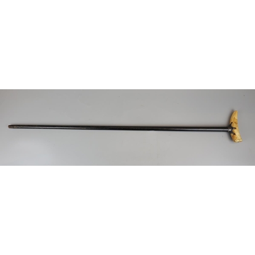 83 - Whale tooth handled walking stick