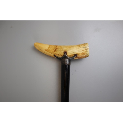 83 - Whale tooth handled walking stick