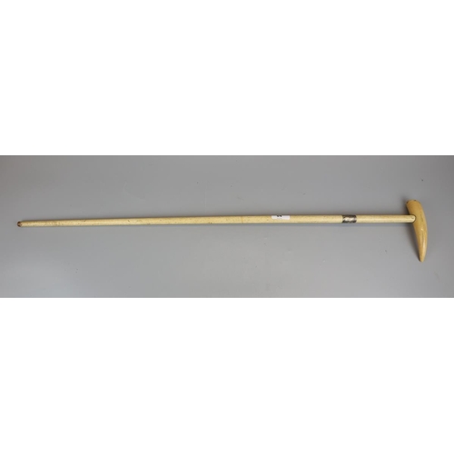 84 - Whale bone and whale tooth walking stick