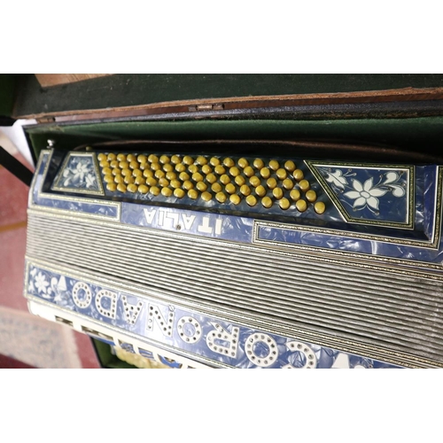 128 - Cased accordion