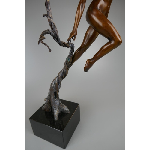 211 - Neil Welch bronze sculpture - Natures Grace - L/E 10 of 25 and signed with foundry mark - Approx H: ... 