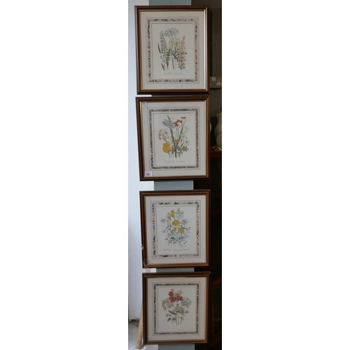 300 - Set of 4 botanical prints