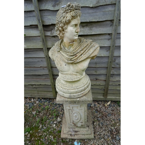 343 - Stone bust on plinth - Approx H: 104cm