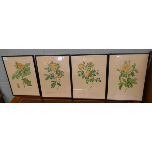 235 - Set of 4 botanical prints