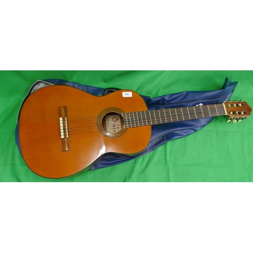 266 - Acoustic guitar