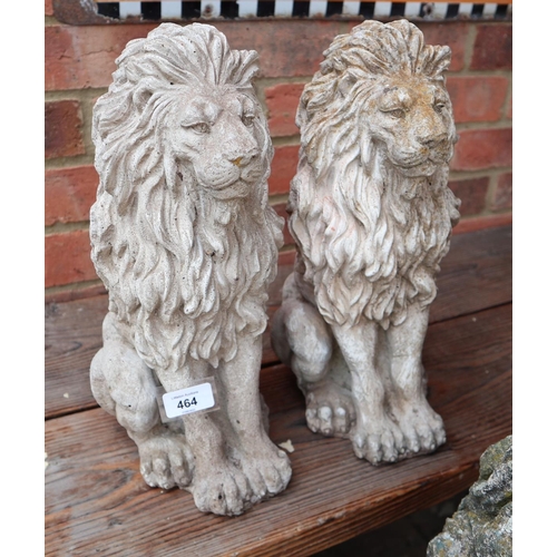 464 - Pair of stone lions - Approx height: 38cm