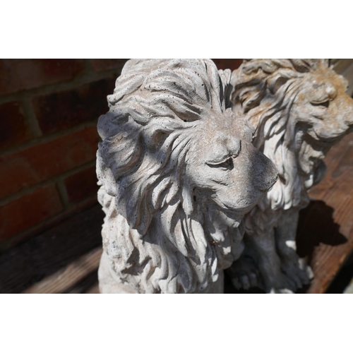 464 - Pair of stone lions - Approx height: 38cm