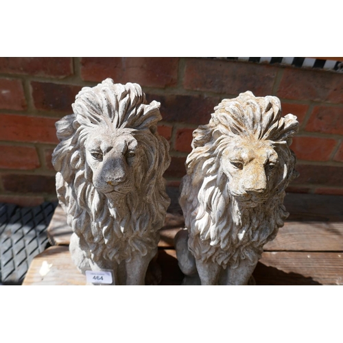 464 - Pair of stone lions - Approx height: 38cm