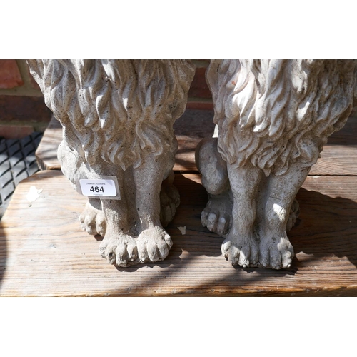 464 - Pair of stone lions - Approx height: 38cm