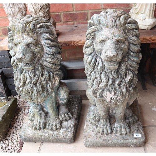 466 - Pair of large stone lions - Approx height: 73cm