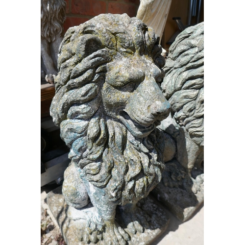 466 - Pair of large stone lions - Approx height: 73cm