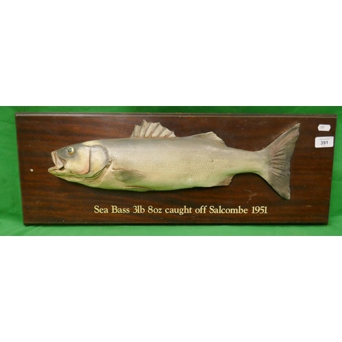 391 - Taxidermy mounted sea bass