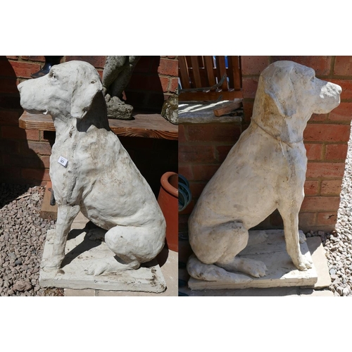 523 - Pair of large stone dogs - Approx. height: 78cm