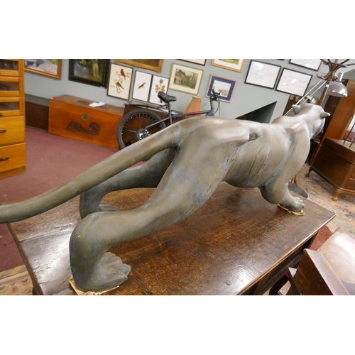 242 - Large bronze panther - Length 159cm