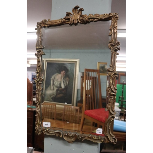 251 - Gilt framed bevelled glass mirror