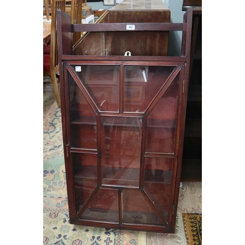 252 - Mahogany wall hanging display unit