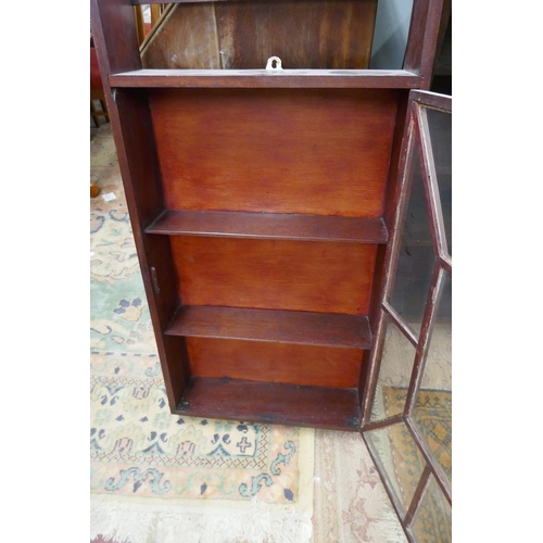 252 - Mahogany wall hanging display unit