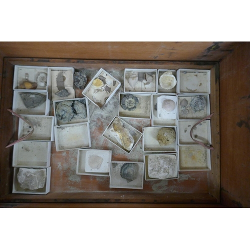 258 - Victorian box containing trays of rock samples and corresponding paperwork - J. Tennant mineralogist... 