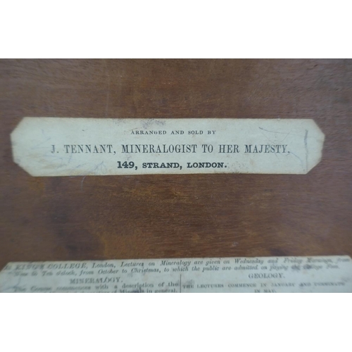 258 - Victorian box containing trays of rock samples and corresponding paperwork - J. Tennant mineralogist... 