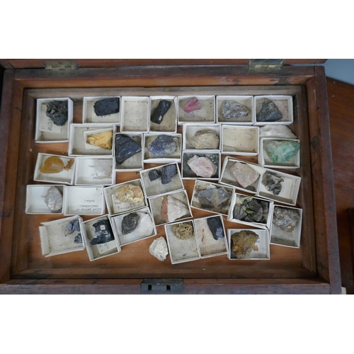 258 - Victorian box containing trays of rock samples and corresponding paperwork - J. Tennant mineralogist... 