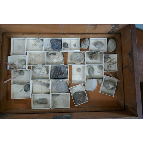 258 - Victorian box containing trays of rock samples and corresponding paperwork - J. Tennant mineralogist... 