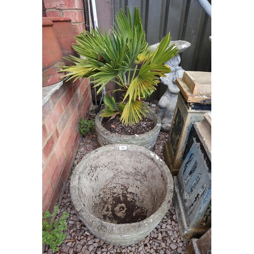 371 - Pair of stone planters 1 with plant