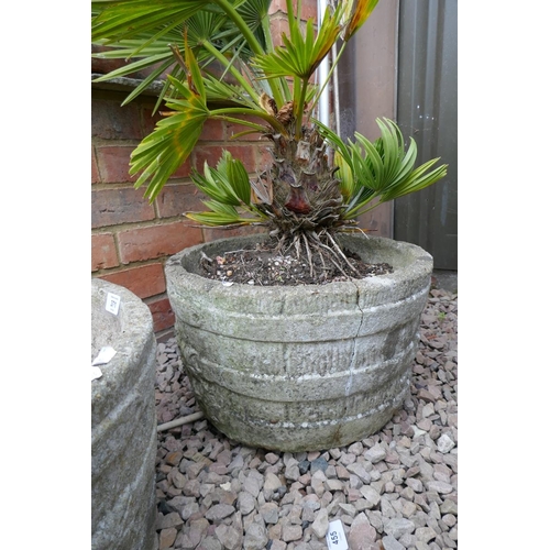 371 - Pair of stone planters 1 with plant