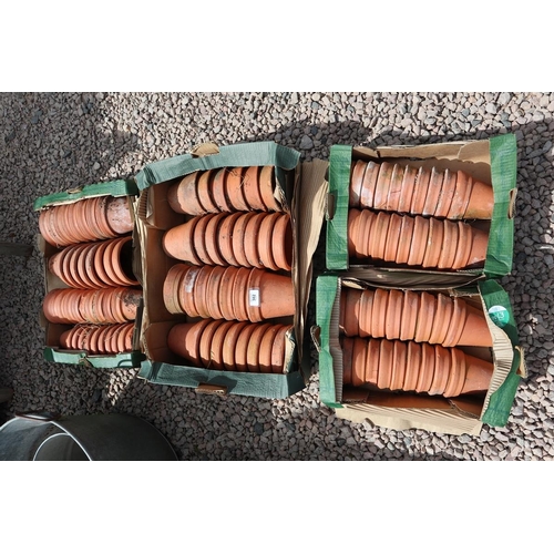 382 - Large collection of terracotta plant pots 