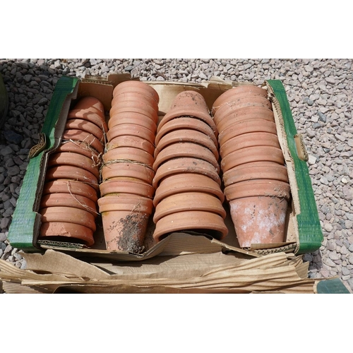 382 - Large collection of terracotta plant pots 