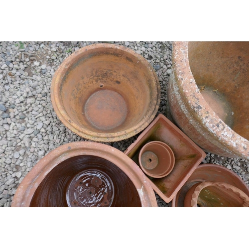 392 - Collection of terracotta planters 