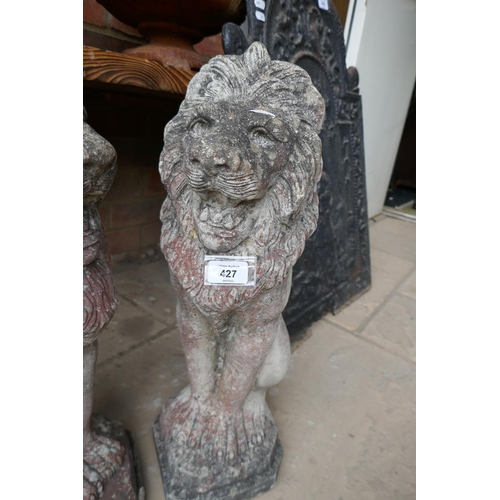 427 - Pair of stone sitting lions - Approx height: 55cm