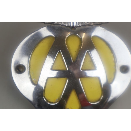 75 - Vintage AA badge