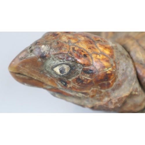 140 - Taxidermy sea turtle