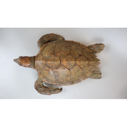 140 - Taxidermy sea turtle