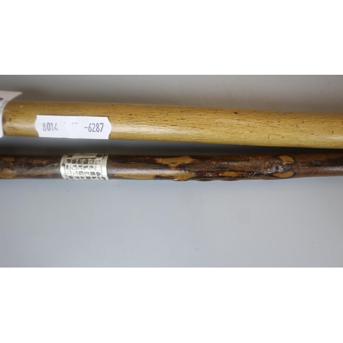 153 - 2 silver mounted walking sticks