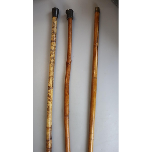 155 - 3 walking sticks to include bamboo