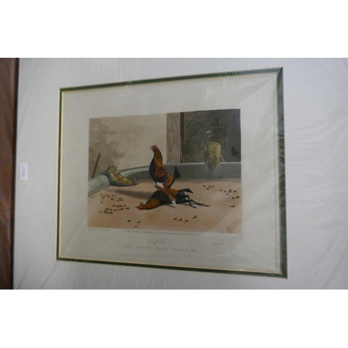 231 - Collection of unframed prints