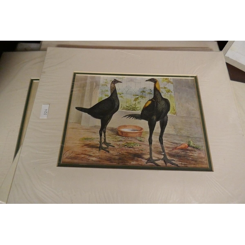 231 - Collection of unframed prints