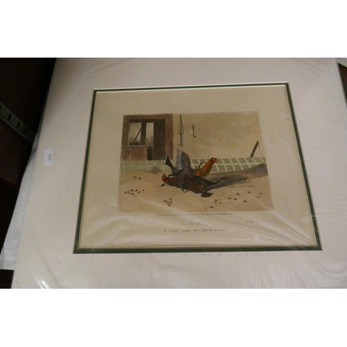 231 - Collection of unframed prints