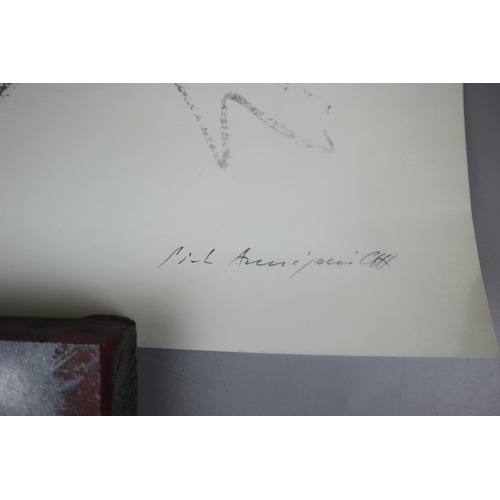 84 - Her Majesty The Queen - A signed L/E print by Pietro Annigoni with C.O.A. and letter from the artist